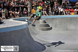 Tony hawk, Andy Macdonald, and other professional skateboarders at the ann arbor skatepark grand opening in ann arbor, michigan